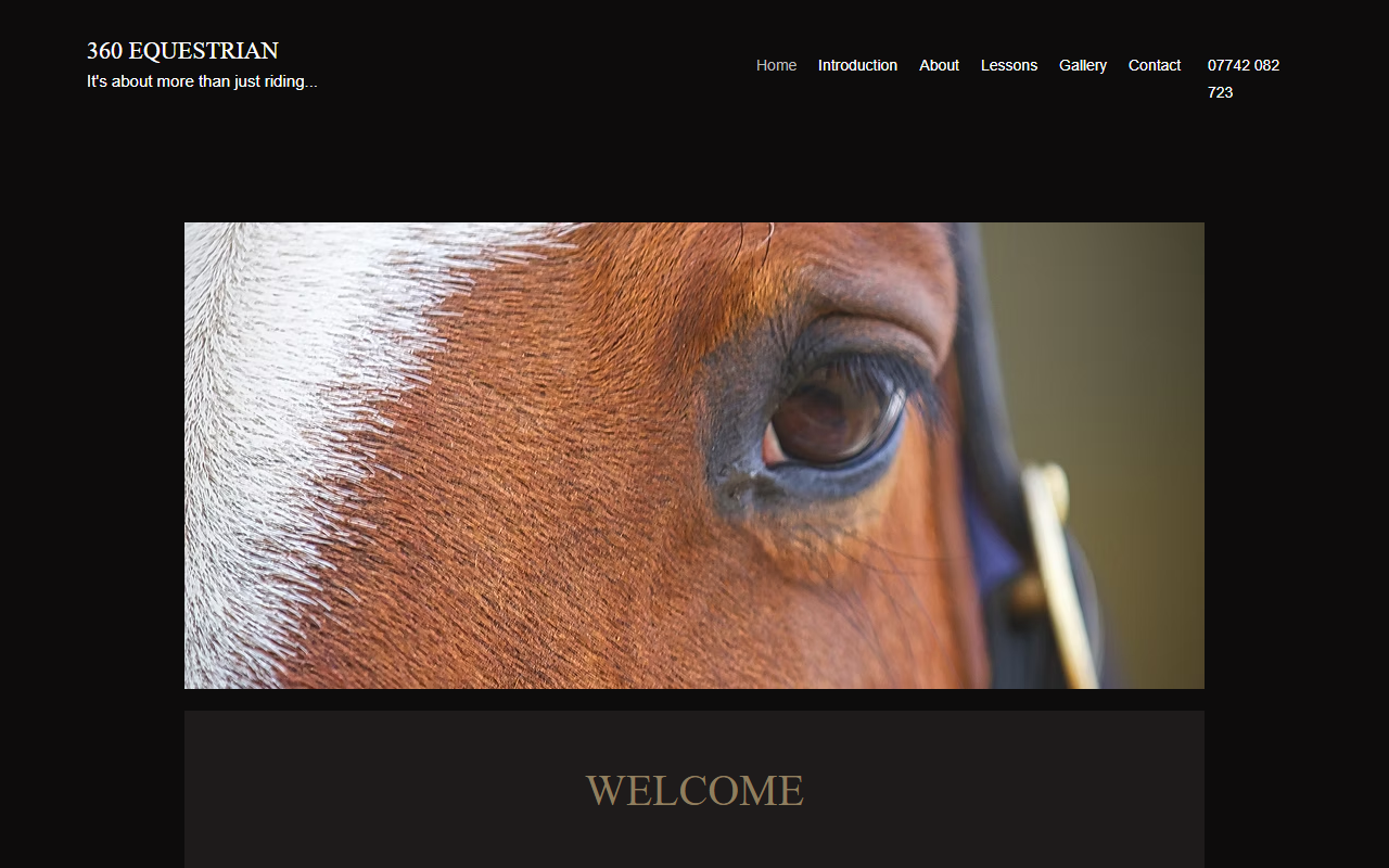 360equestrian.com screenshot
