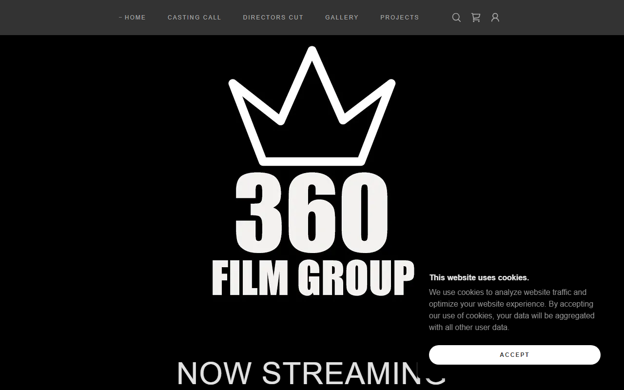 360filmgroup.com screenshot