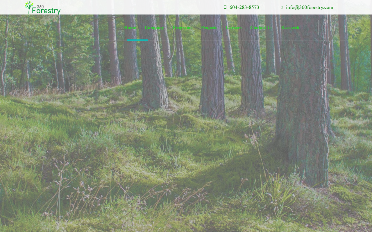 360forestry.com screenshot