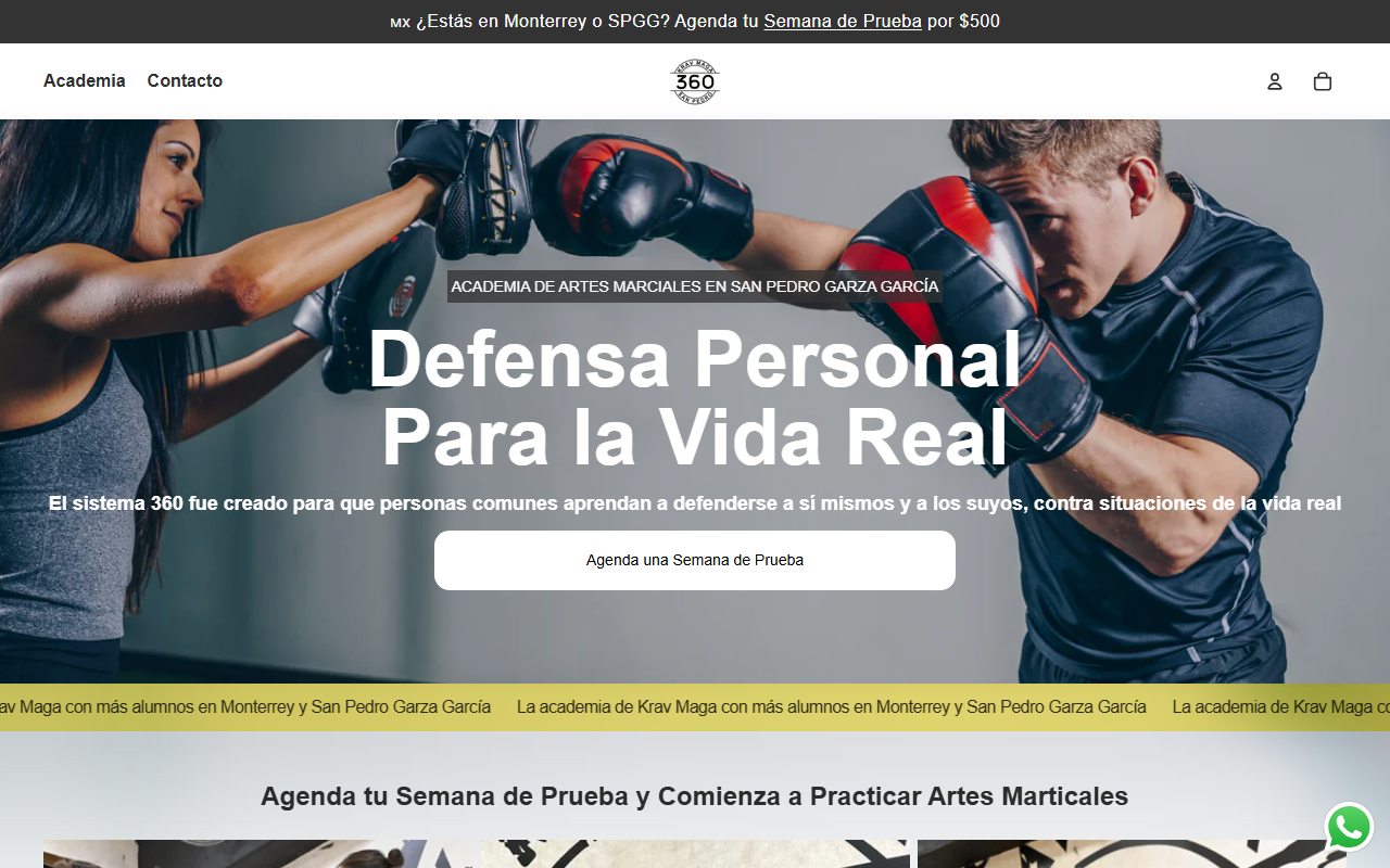 360kravmagaspgg.com screenshot
