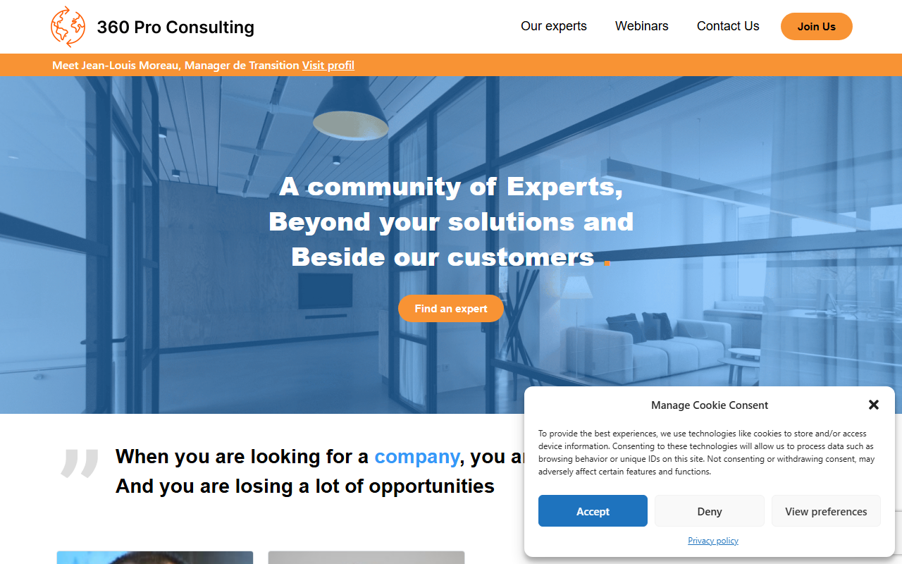 360proconsulting.com screenshot