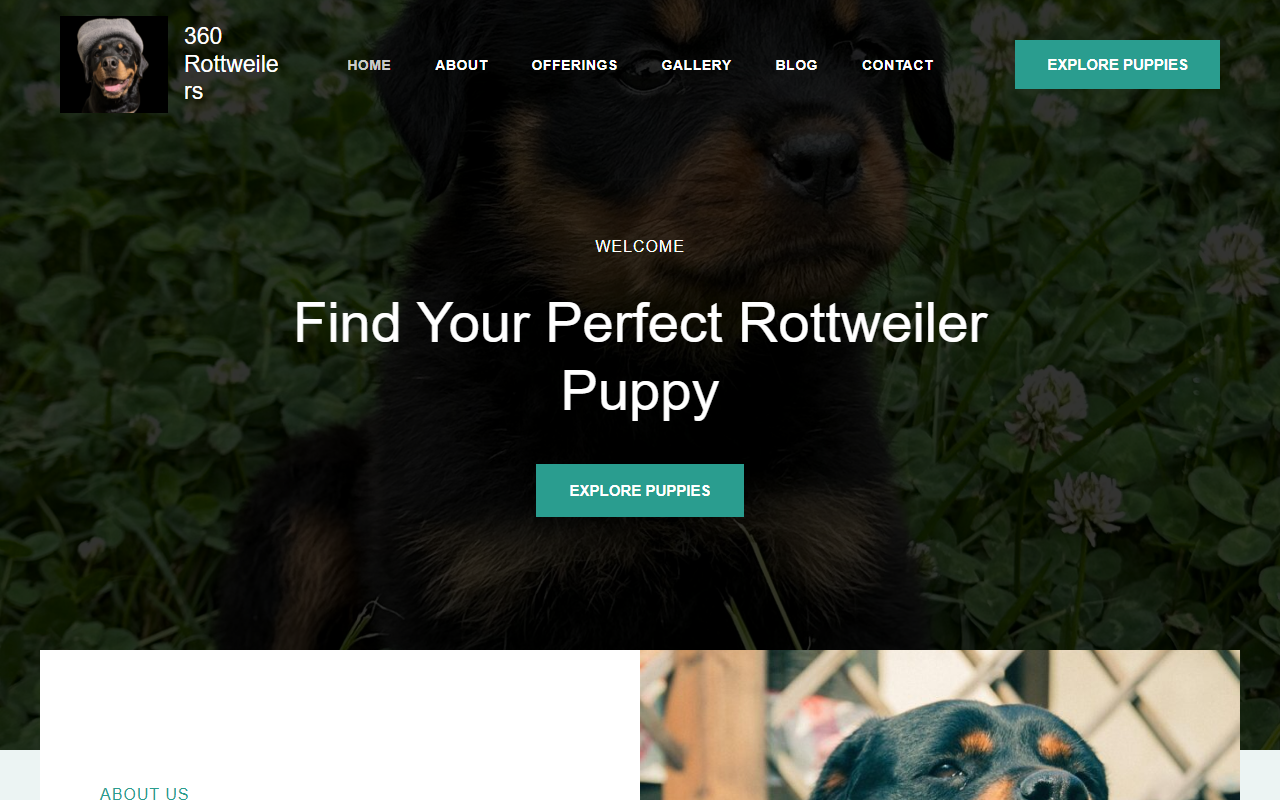 360rottweilers.com screenshot