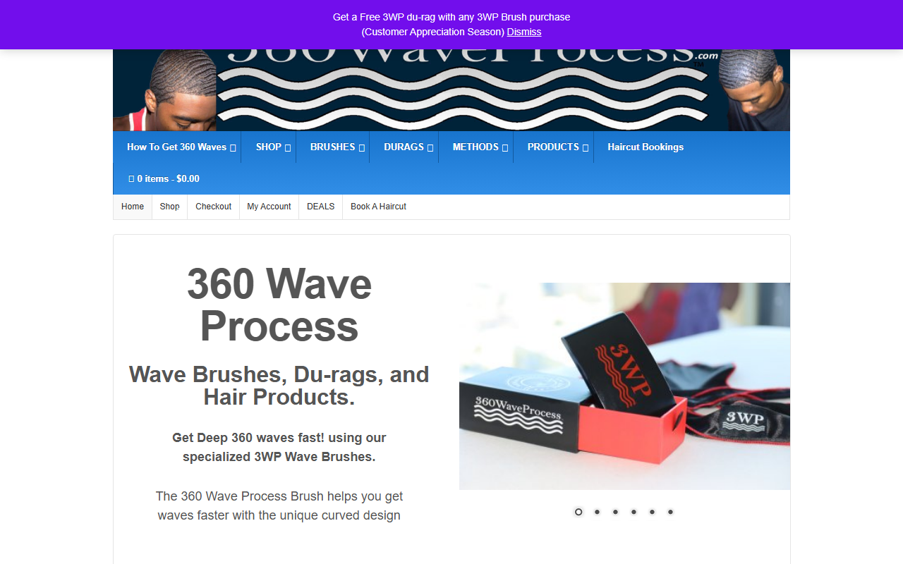 360waveprocess.com screenshot