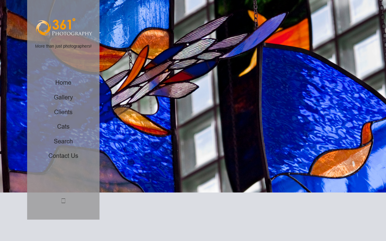 361photography.com screenshot