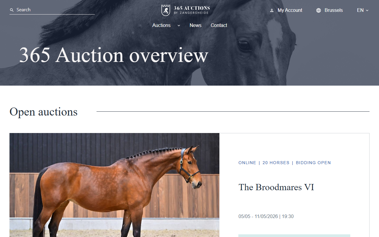365-auctions.com screenshot