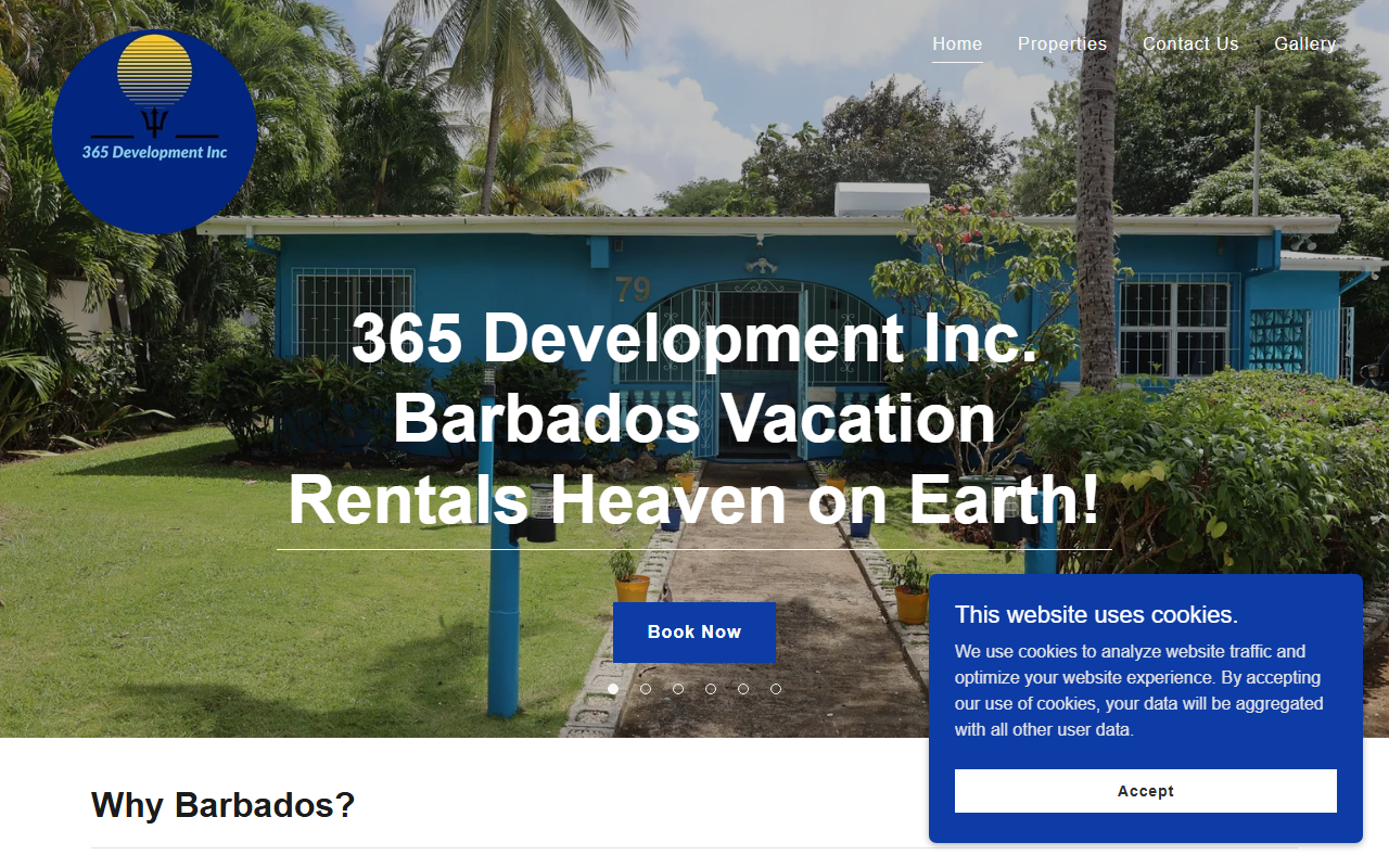 365-development.com screenshot