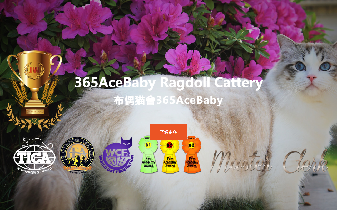 365acebaby.com screenshot