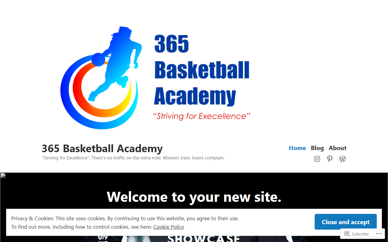 365basketballinc.com screenshot
