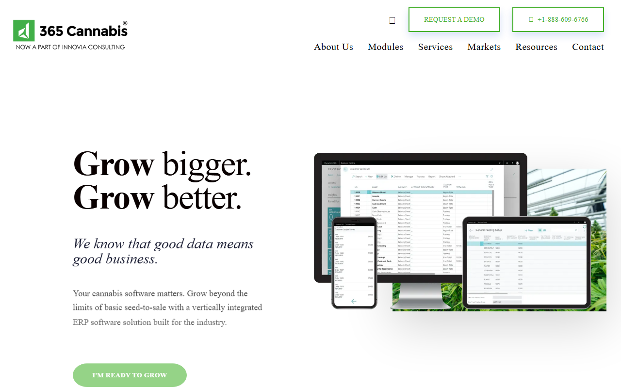 365cannabis.com screenshot