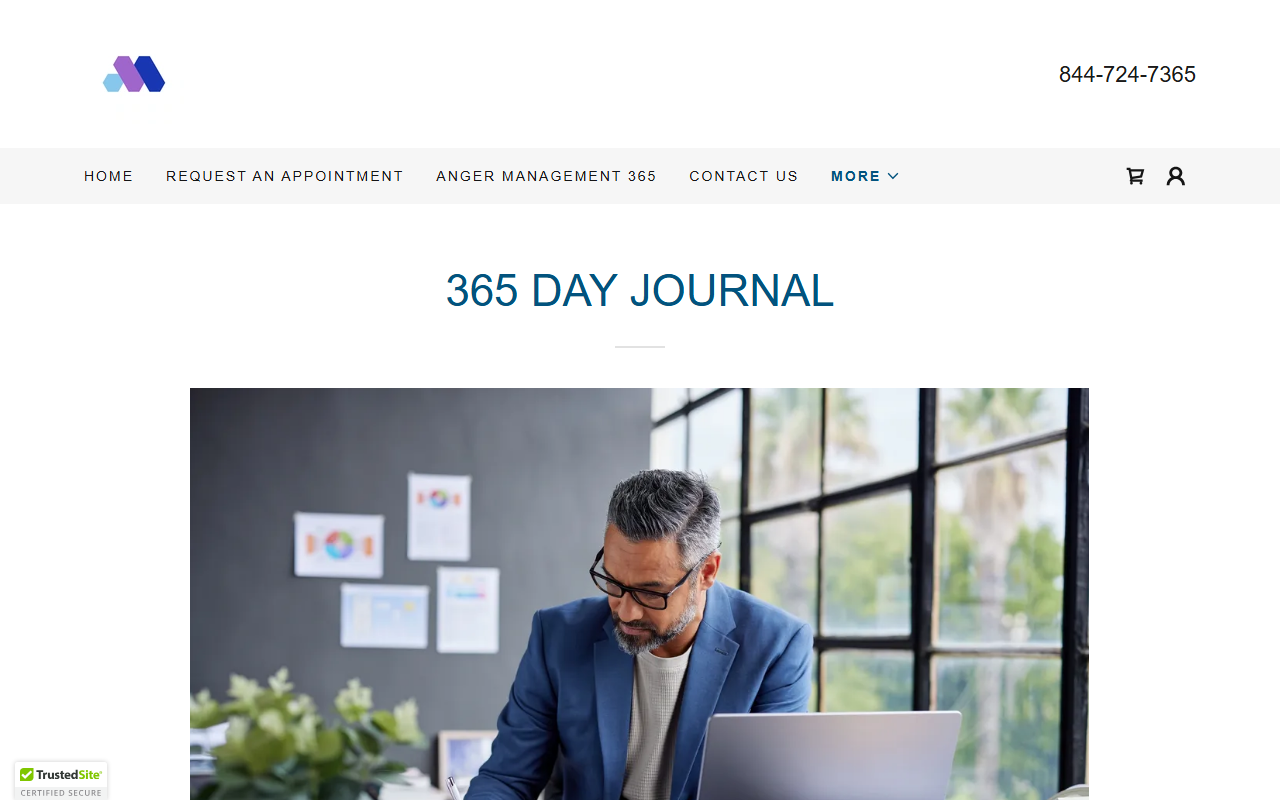 365dayjournal.com screenshot