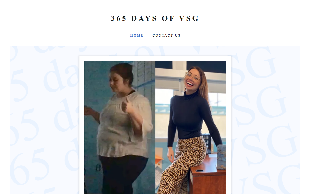 365daysofvsg.com screenshot