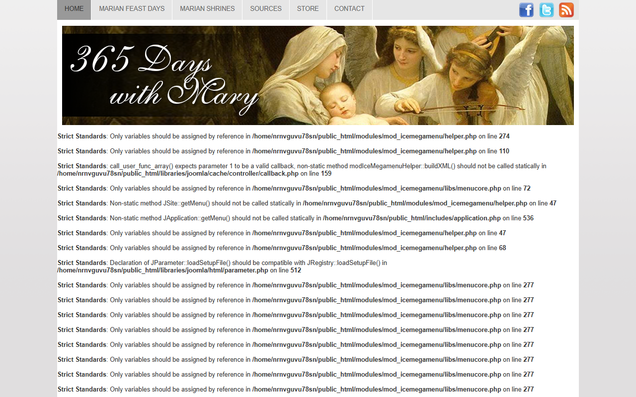 365dayswithmary.com screenshot
