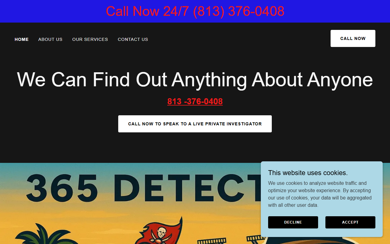 365detective.com screenshot