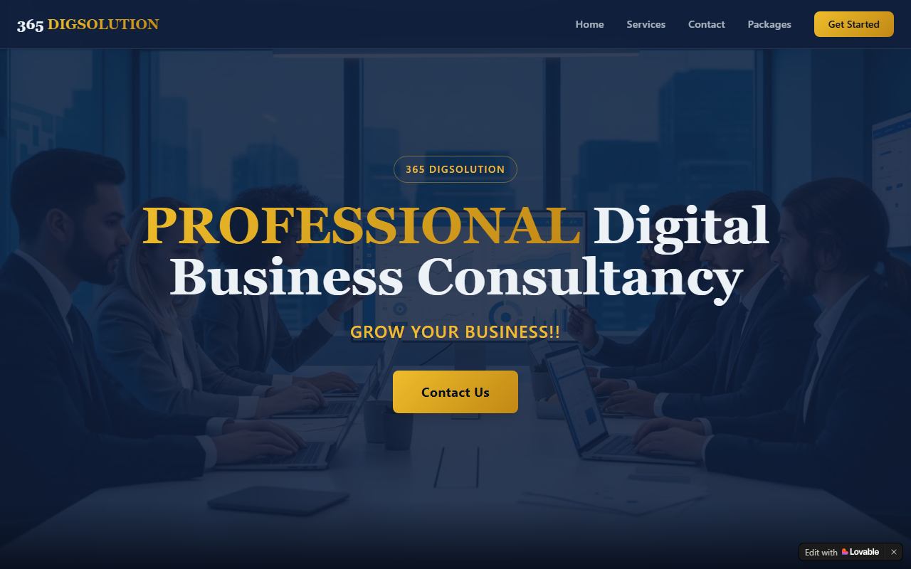 365digsolutions.com screenshot