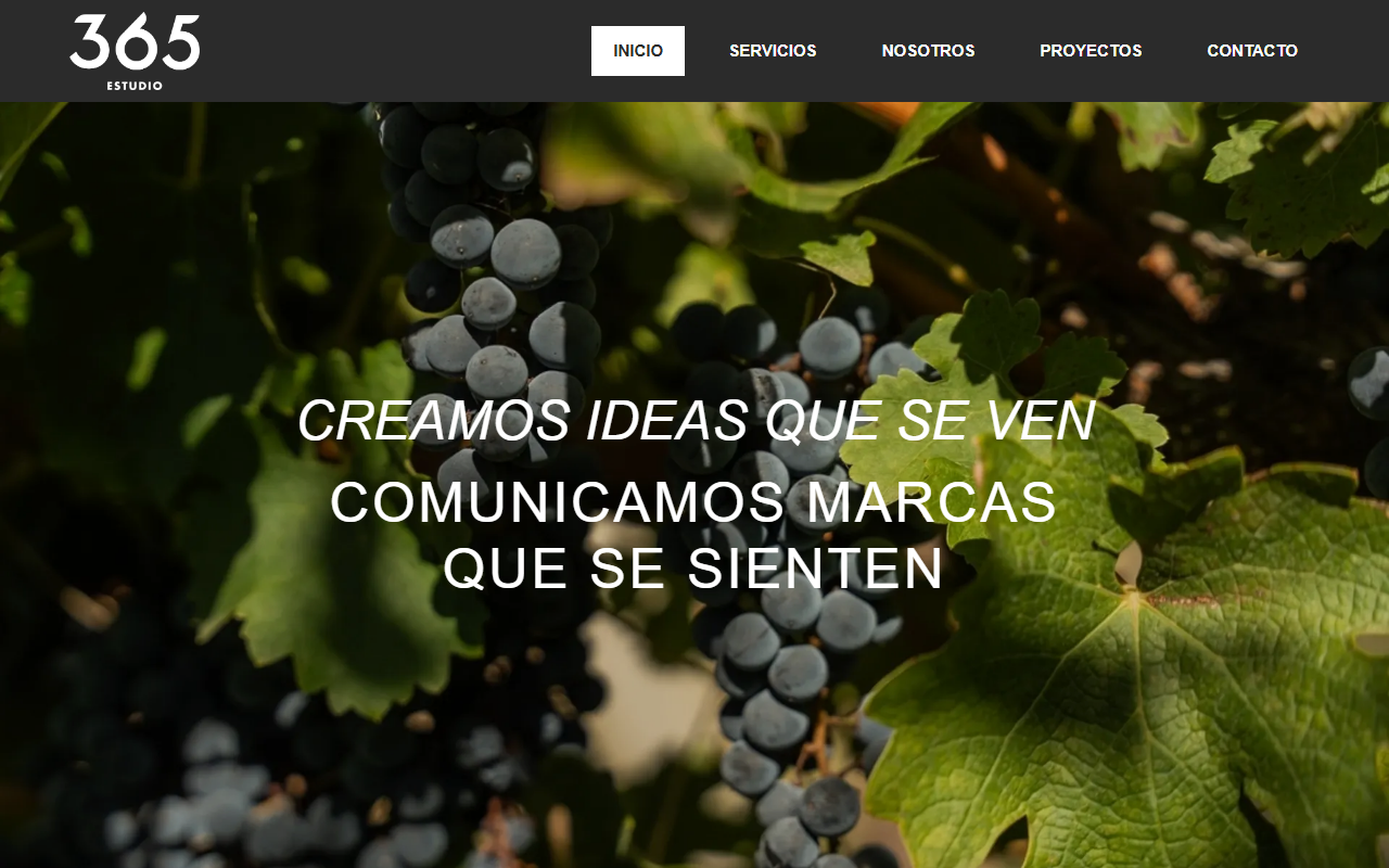 365estudio.com screenshot