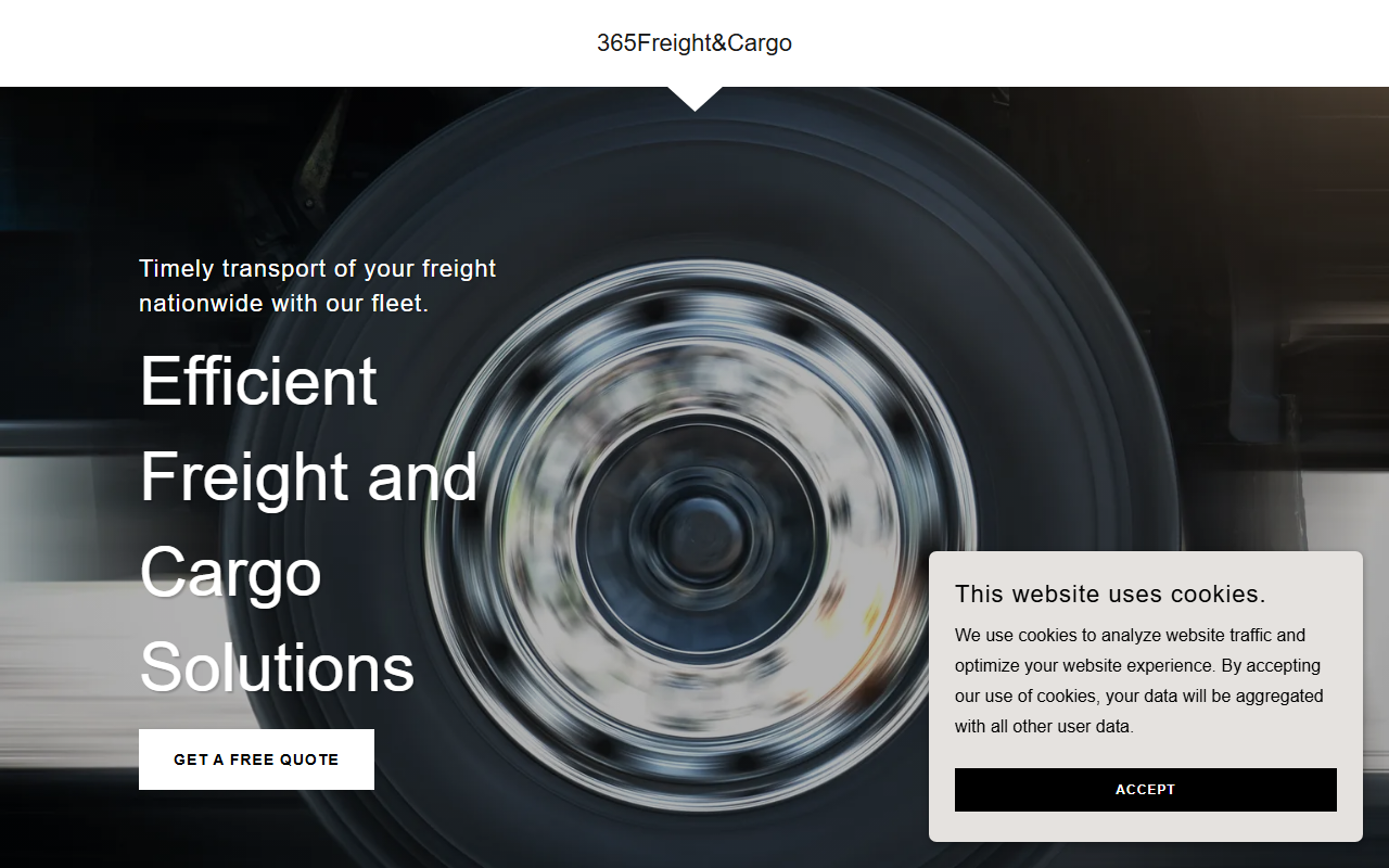 365globalvision.com screenshot