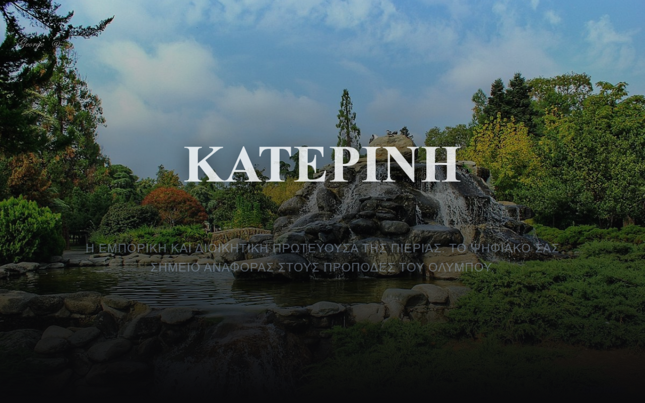 365katerini.com screenshot