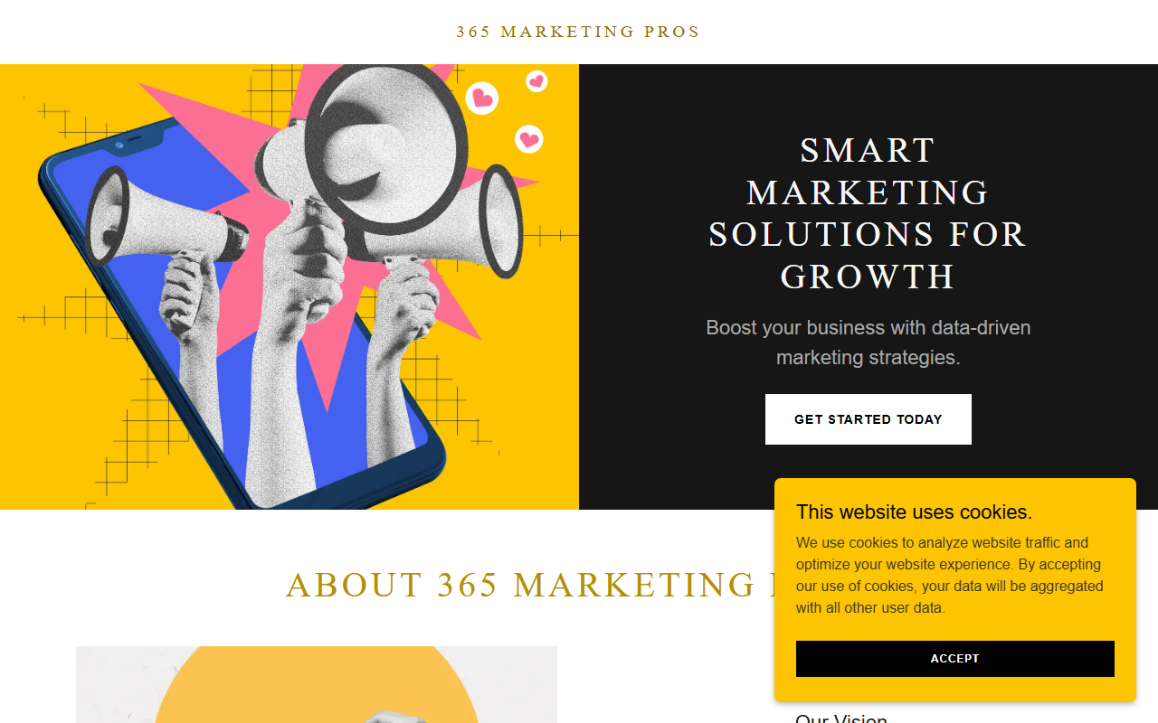 365marketingpros.com screenshot