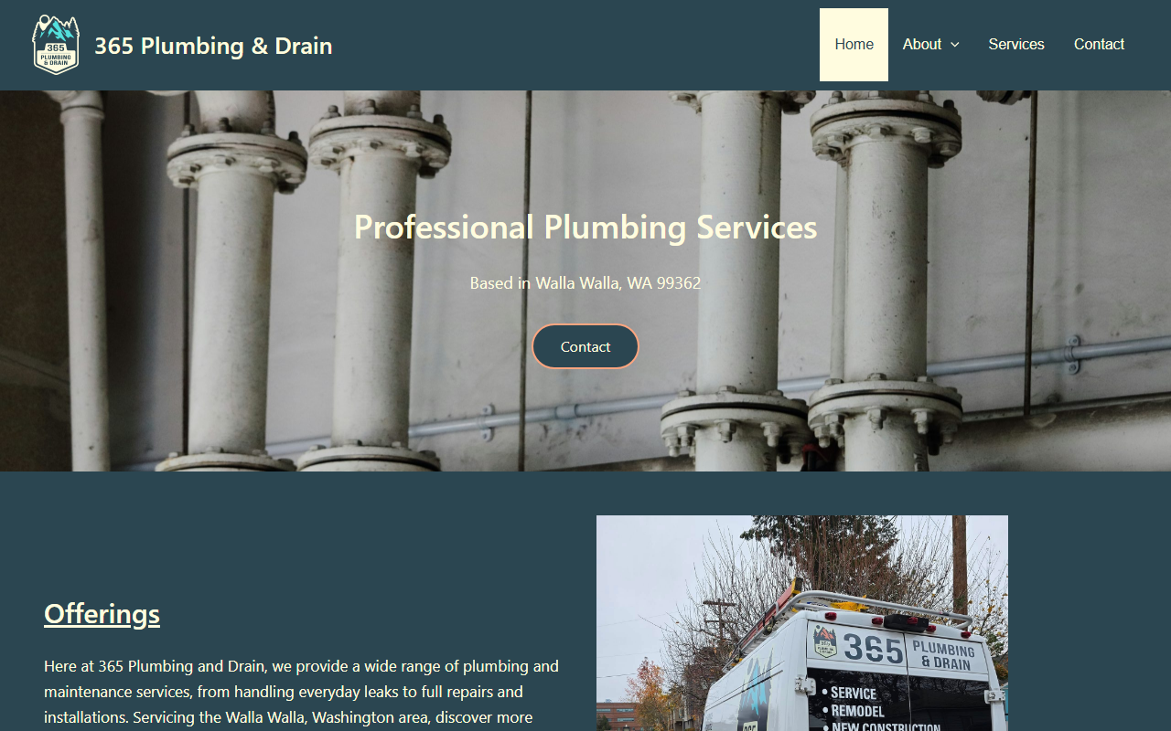365plumbingdrain.com screenshot