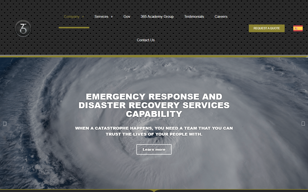 365securitymg.com screenshot