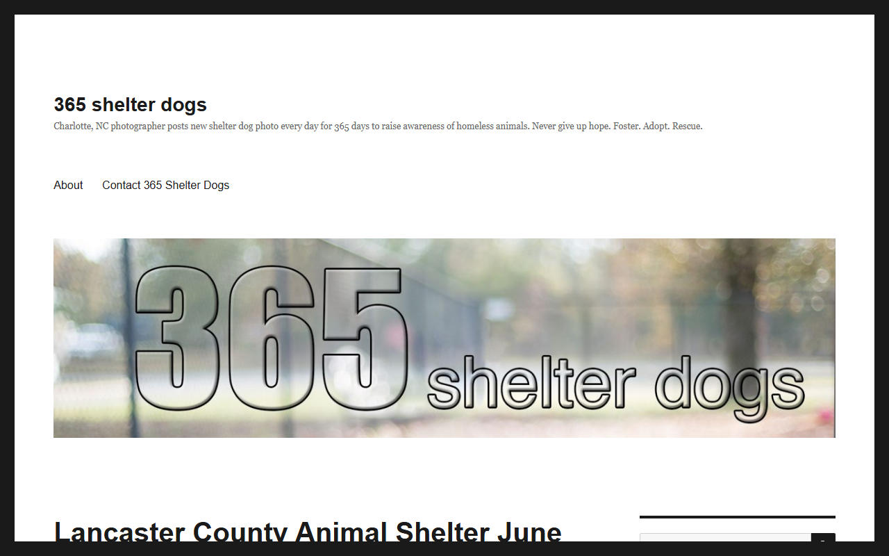 365shelterdogs.com screenshot