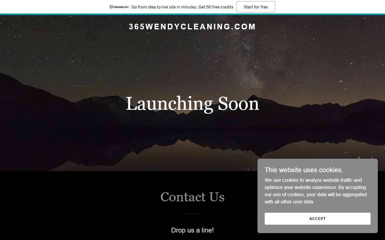 365wendycleaning.com screenshot
