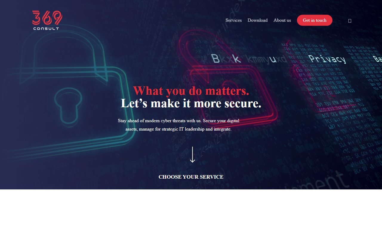 369consult.com screenshot