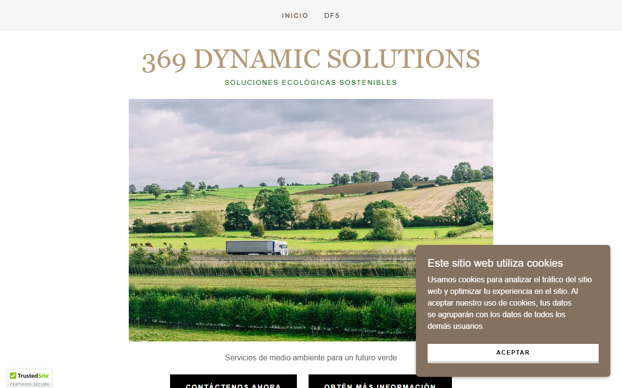 369dynamic.com screenshot