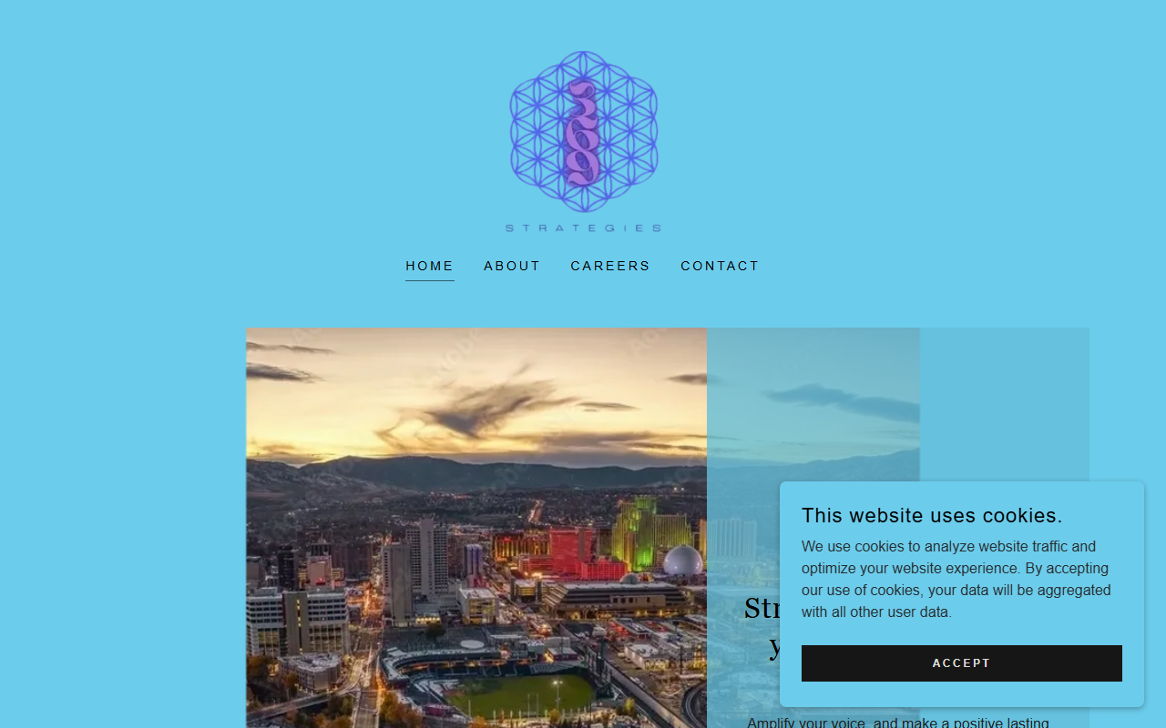 369strategies.com screenshot