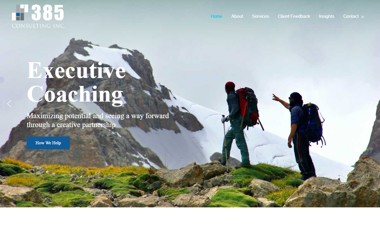 385consulting.com screenshot