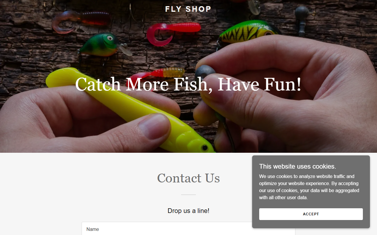 401flyshop.com screenshot