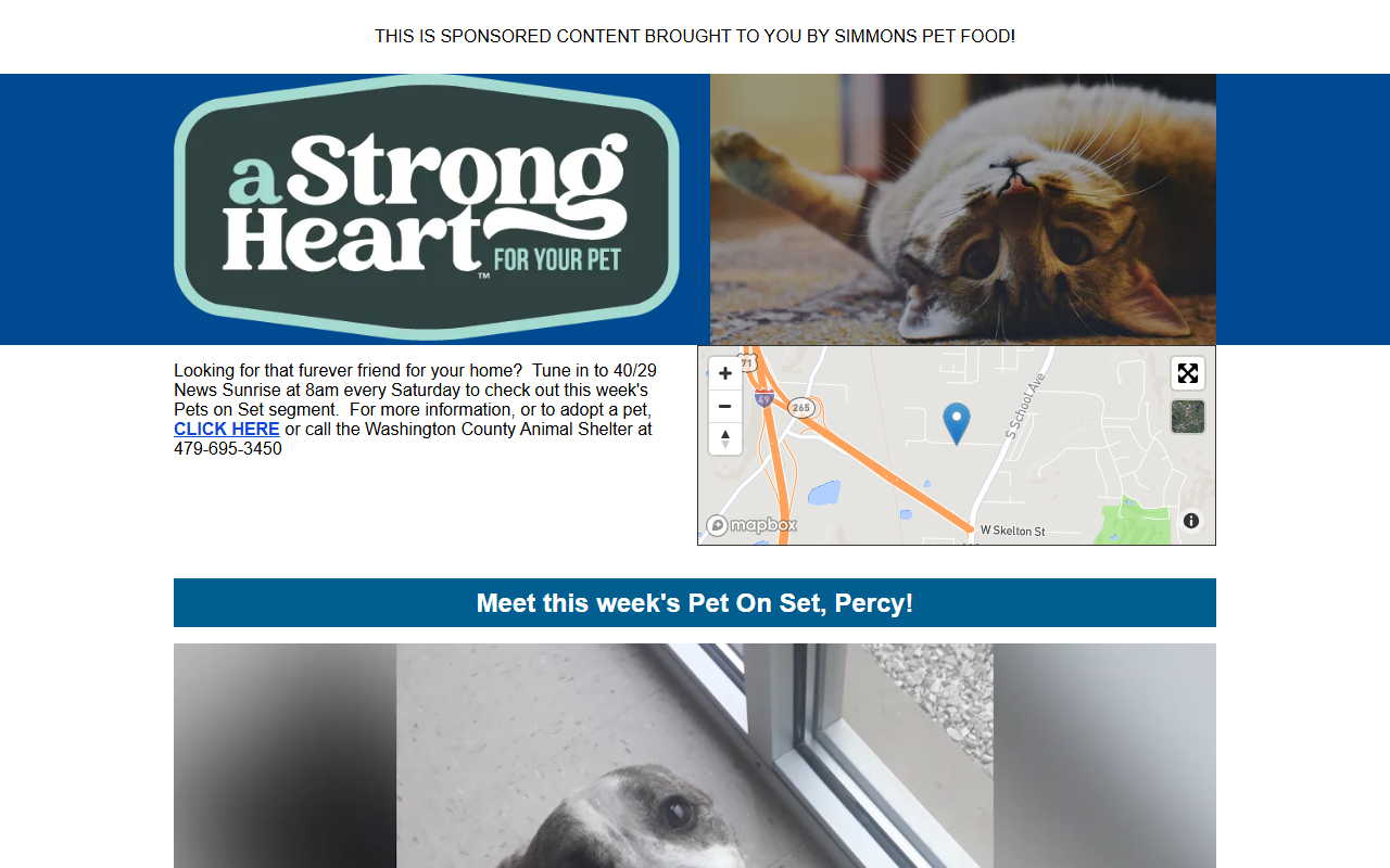 4029tvpetsonset.com screenshot