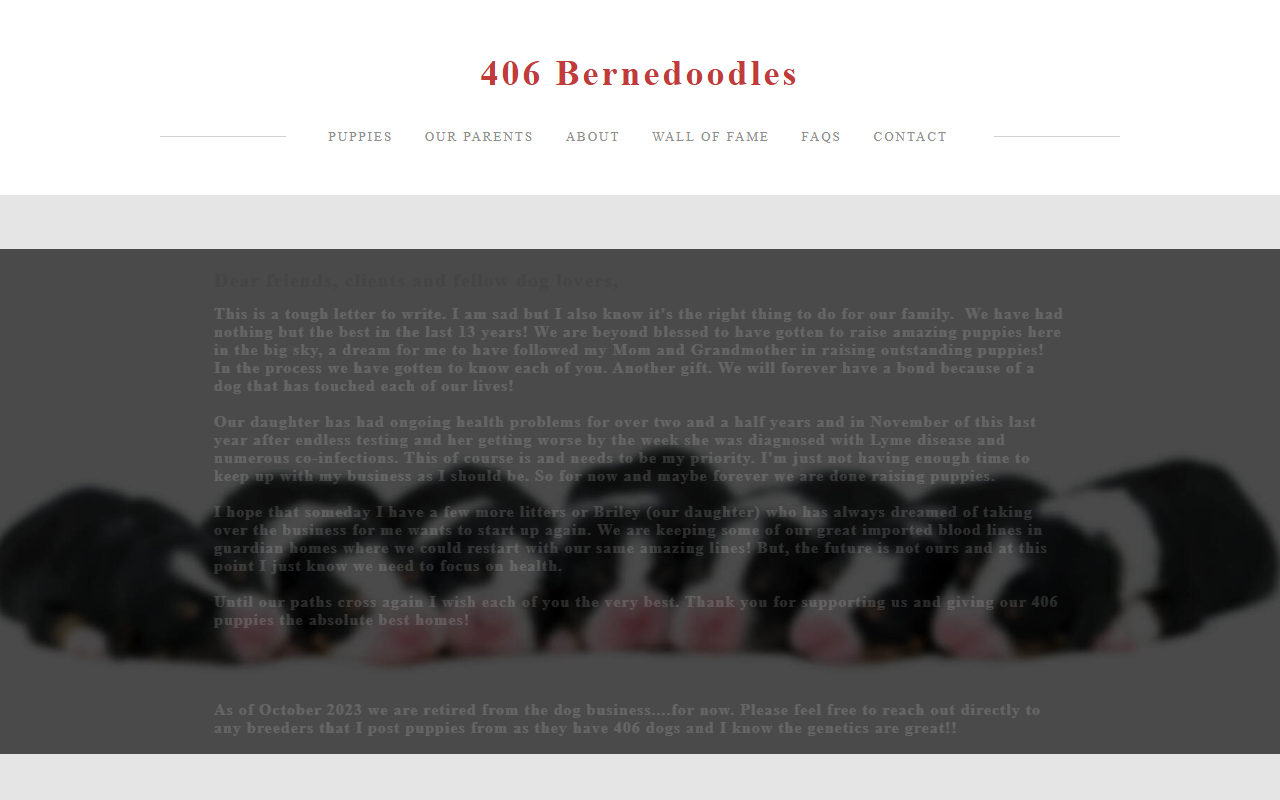 406bernedoodles.com screenshot