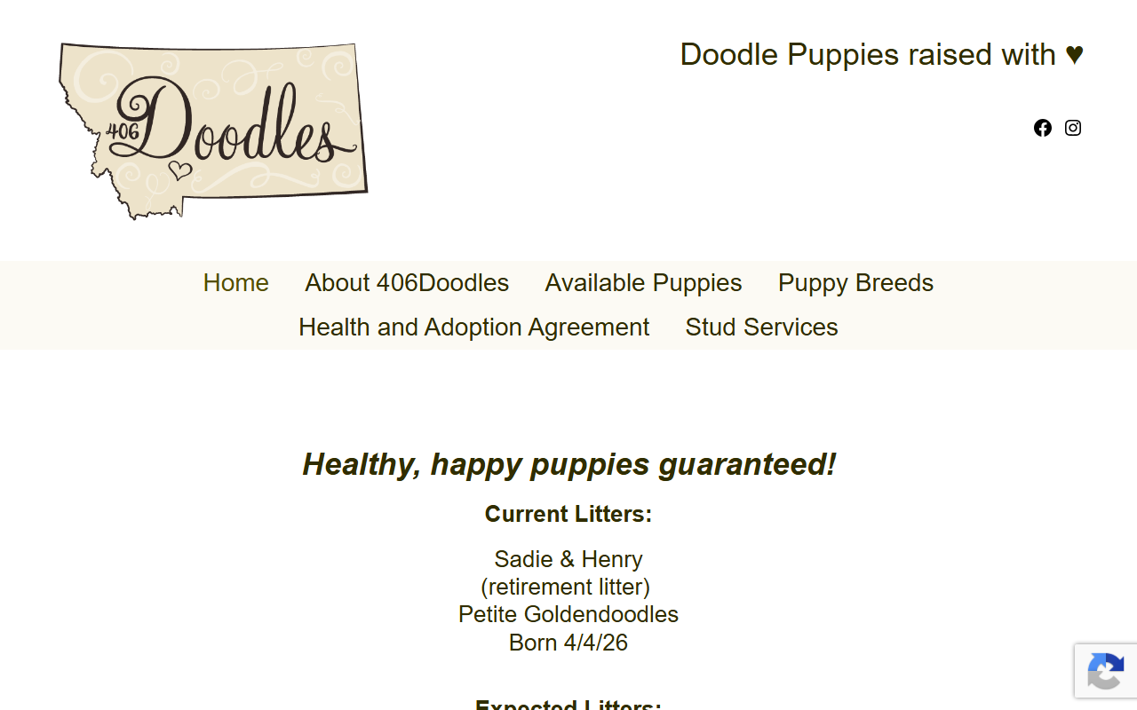 406doodles.com screenshot