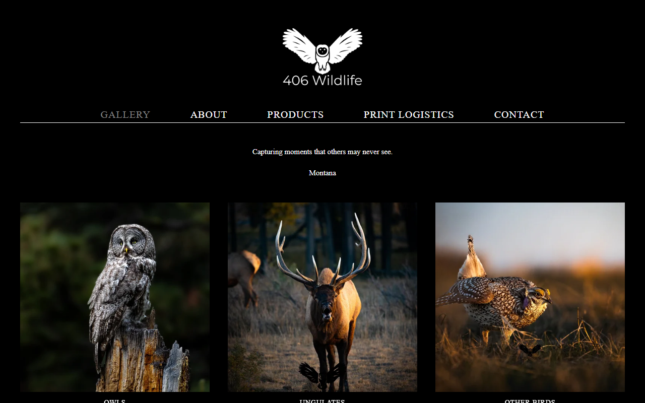 406wildlife.com screenshot