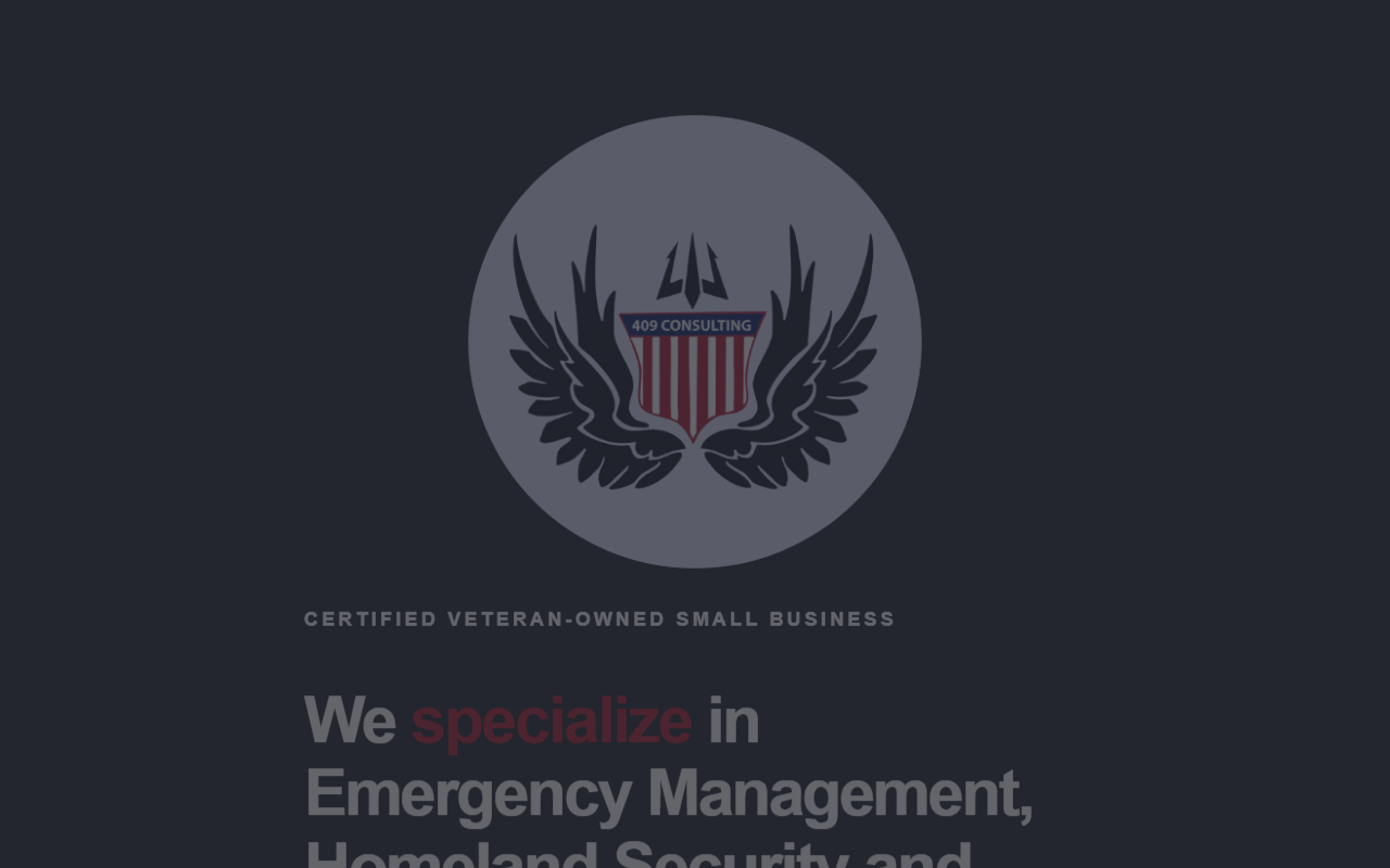 409consulting.com screenshot