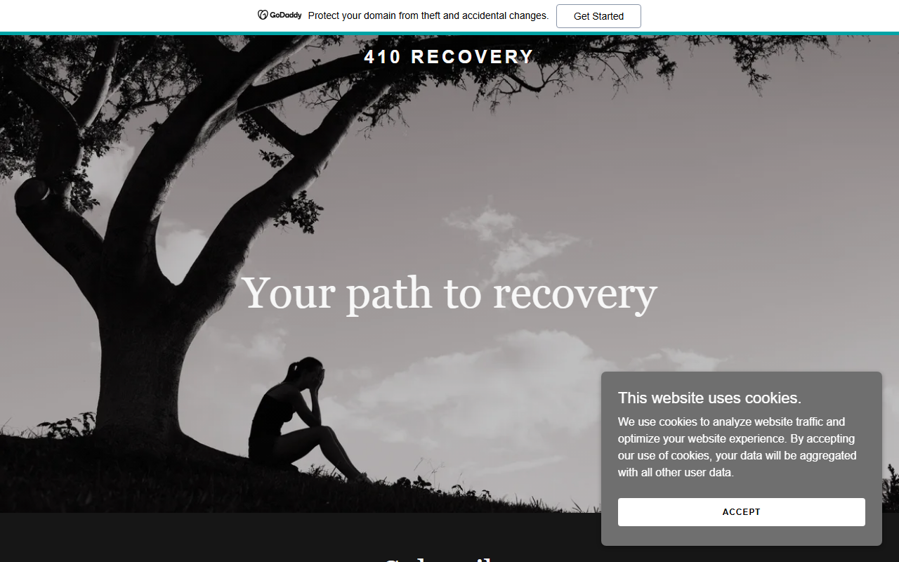 410recovery.com screenshot
