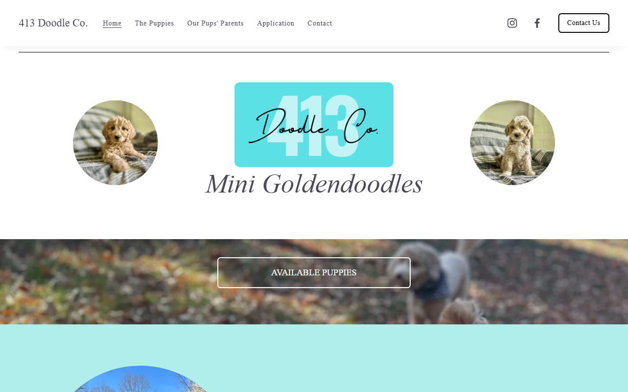 413doodleco.com screenshot