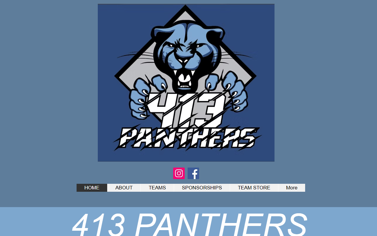 413panthers.com screenshot