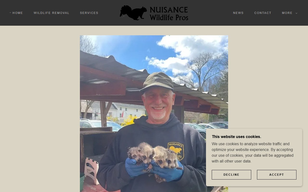 413wildlife.com screenshot
