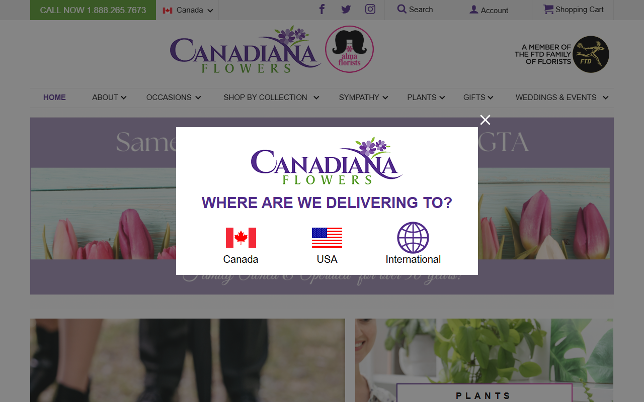 4165flower.com screenshot