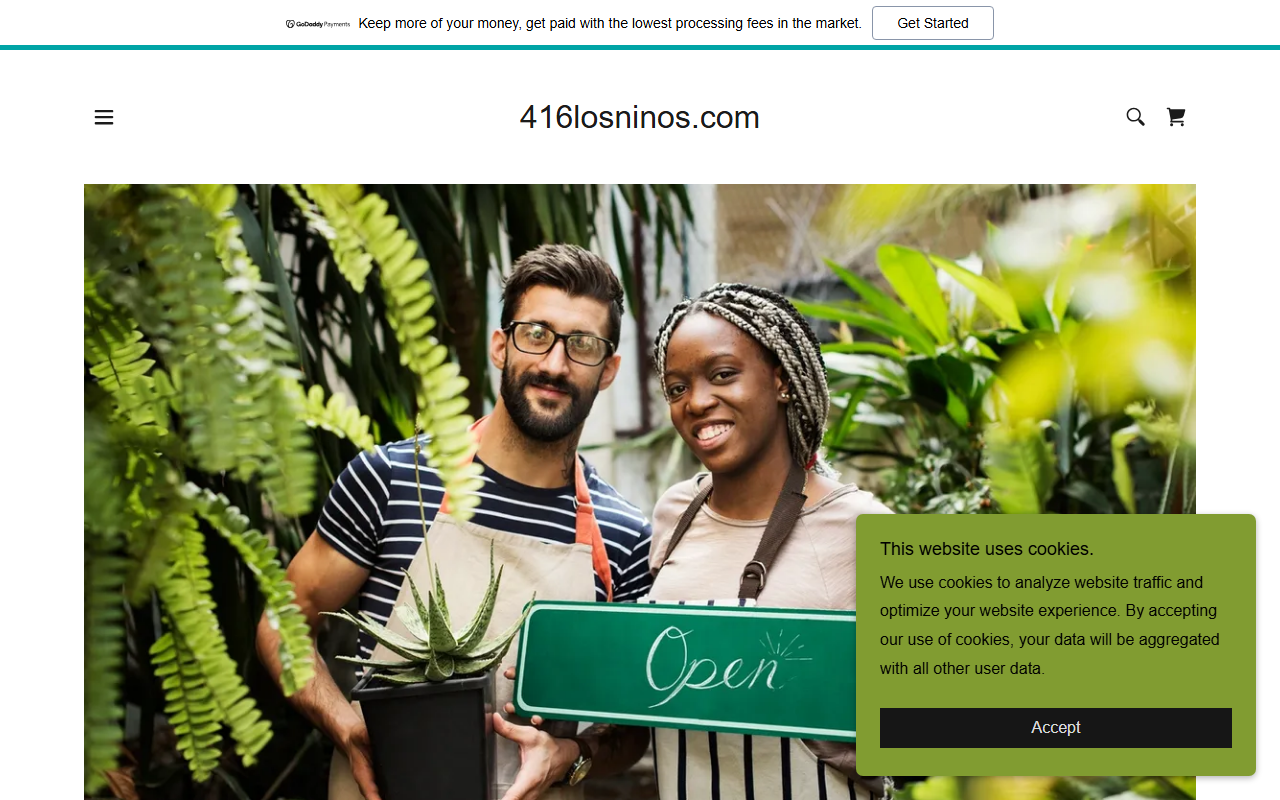 416losninos.com screenshot