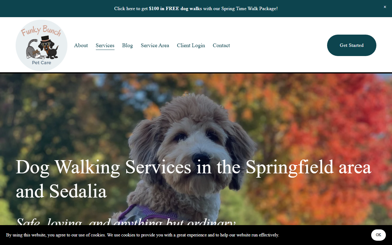 417dogwalks.com screenshot