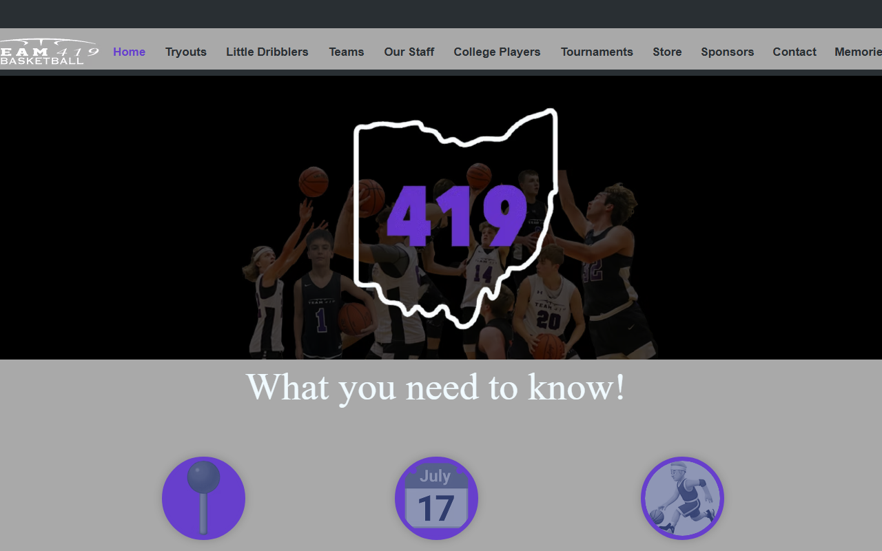 419basketball.com screenshot