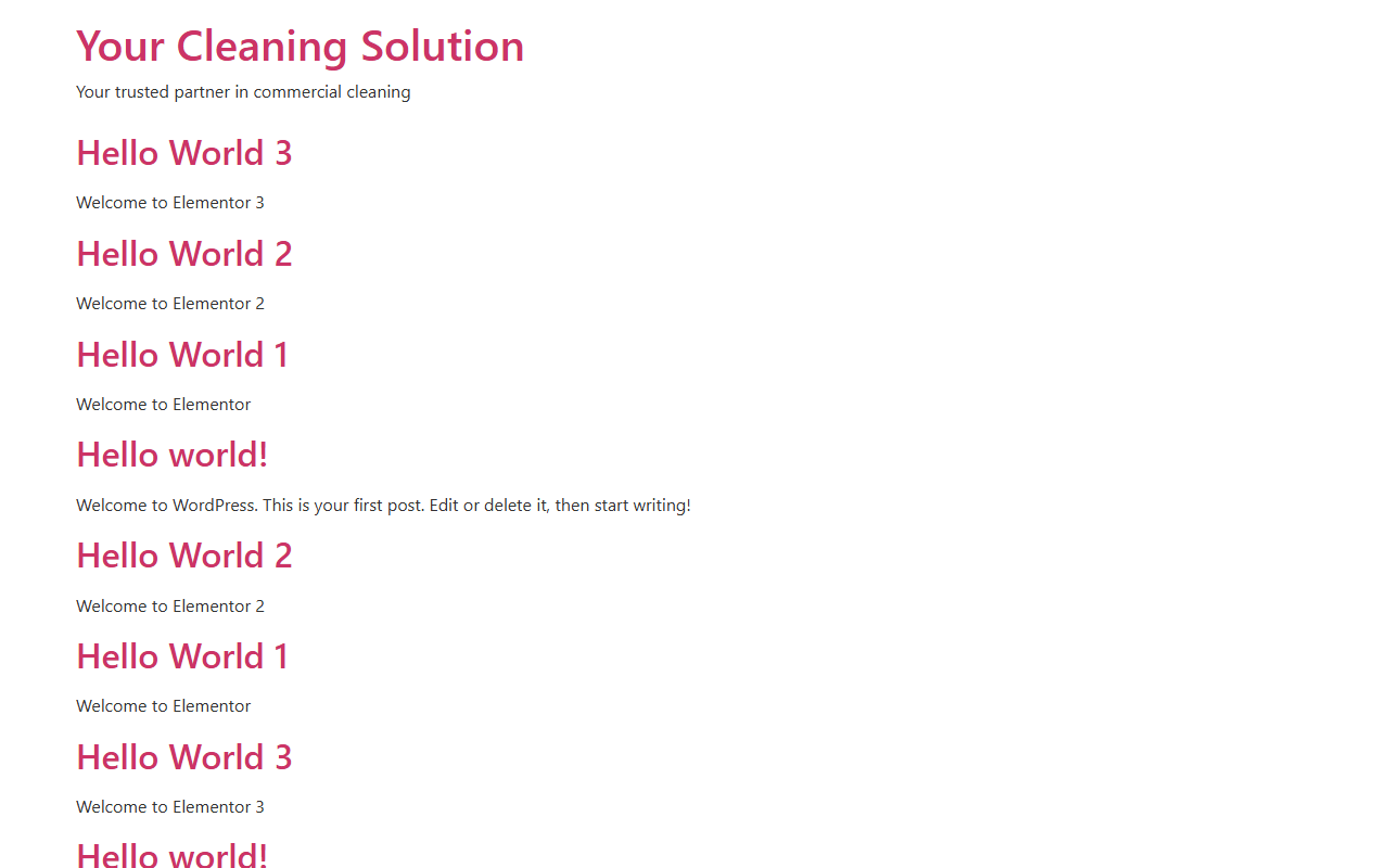 419cleaning.com screenshot