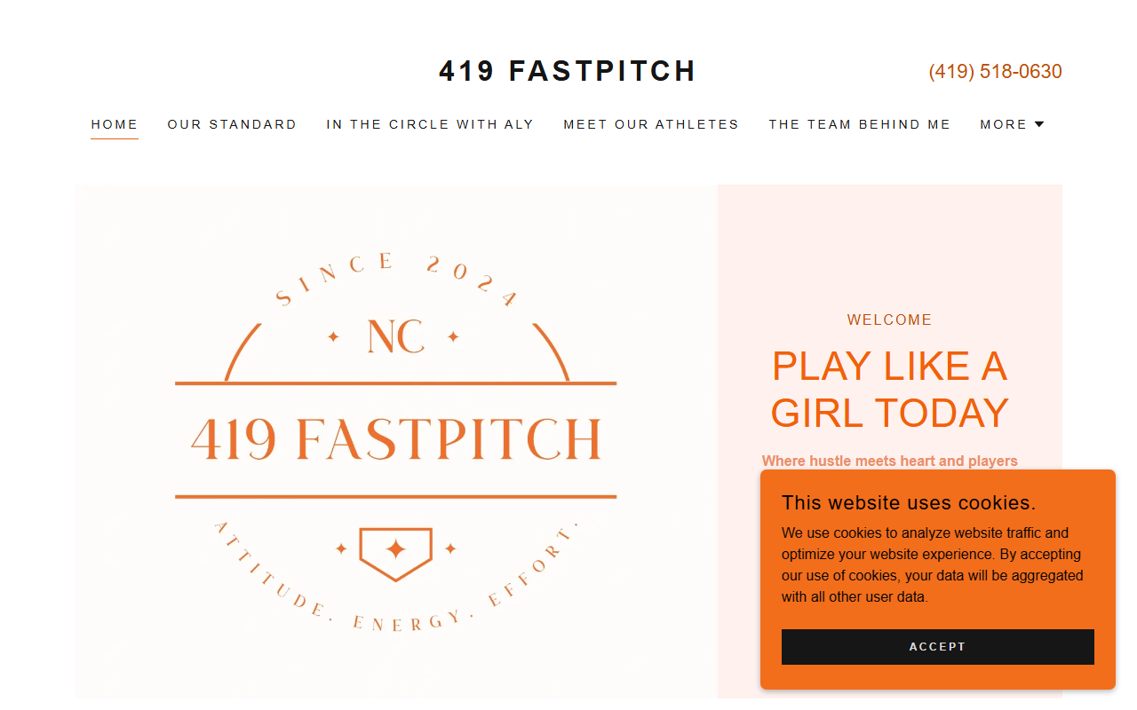 419fastpitch.com screenshot