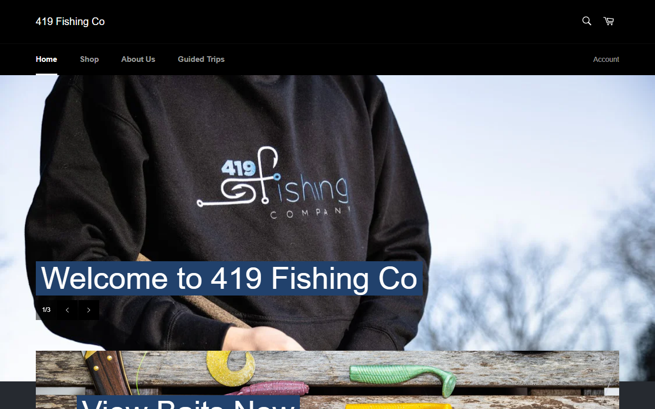 419fishingco.com screenshot