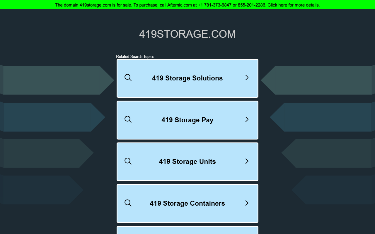 419storage.com screenshot