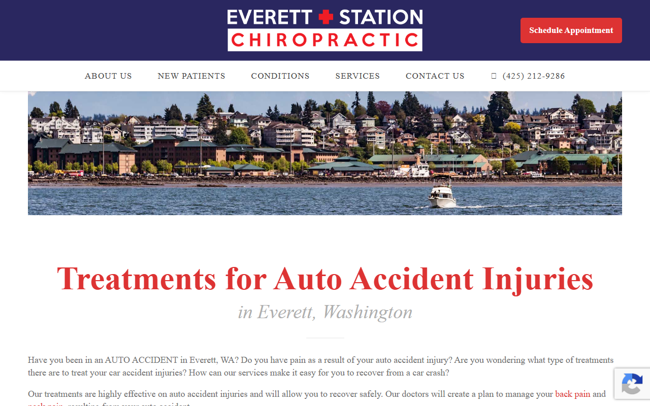 425chiropractic.com screenshot