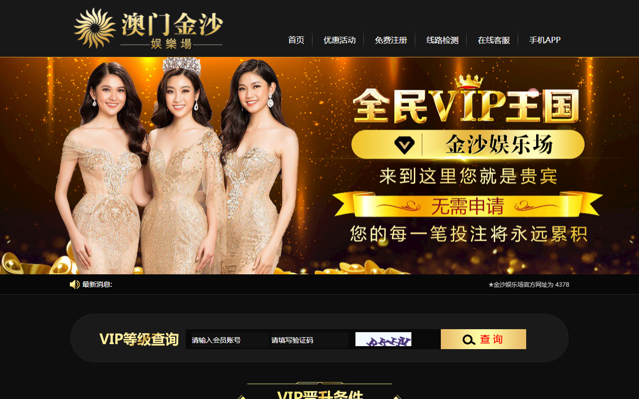 4378bvip99.com screenshot